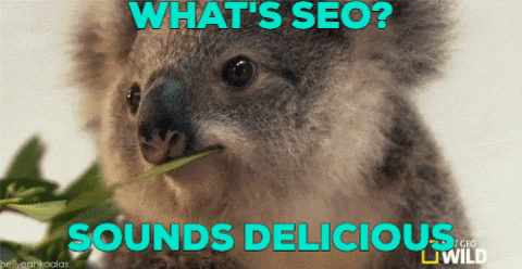 Whats SEO | Agency Jet